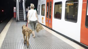 Noia i gos sortint d'una estació de tren